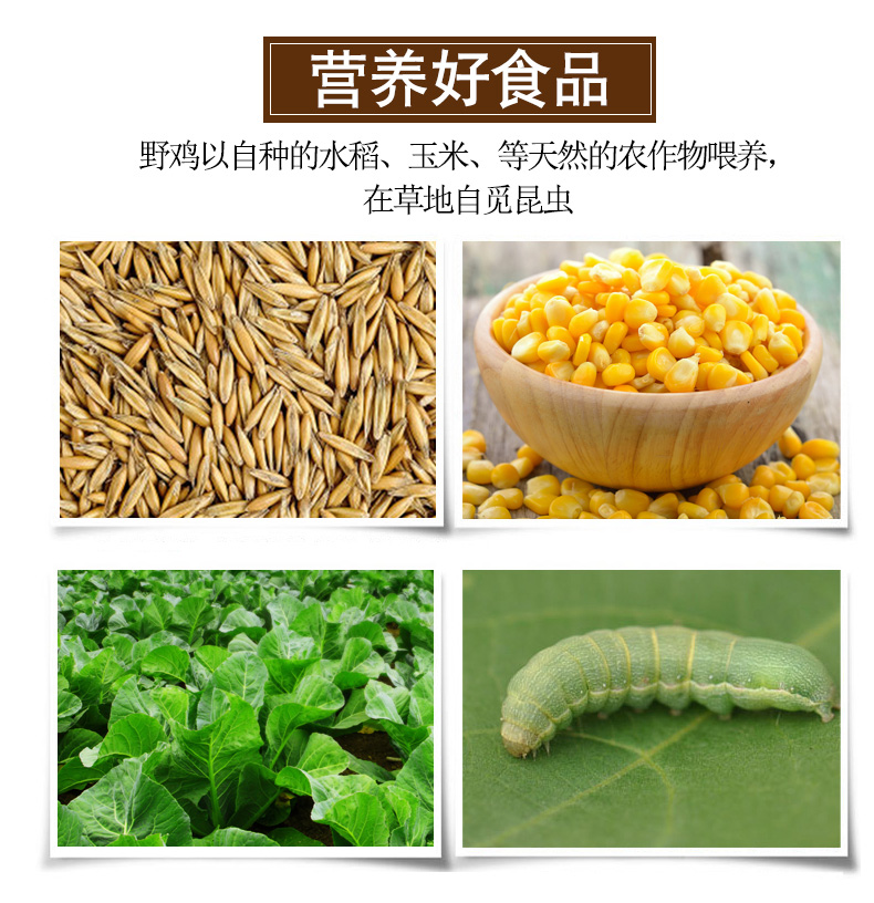 贵妃鸡