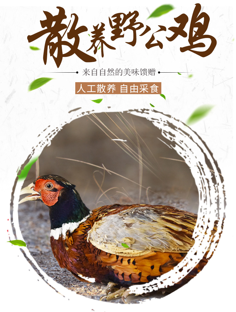 贵妃鸡