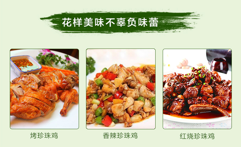 珍珠鸡